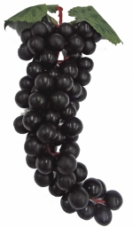Druiventros (Vitis) 28 cm